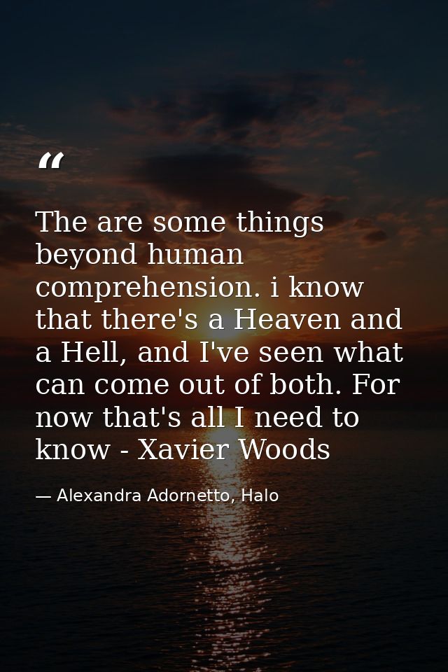 The are some things beyond human comprehension. i know that there's a Heaven and a Hell, and I've seen what can come out — Alexandra Adornetto, Halo