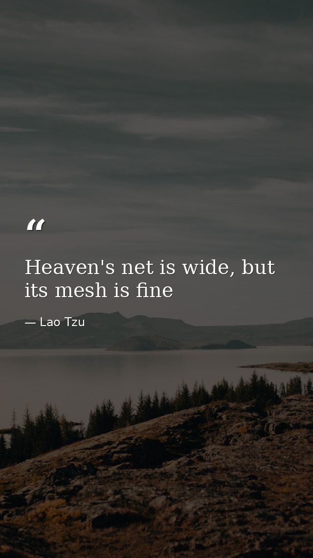 Heaven's net is wide, but its mesh is fine — Lao Tzu