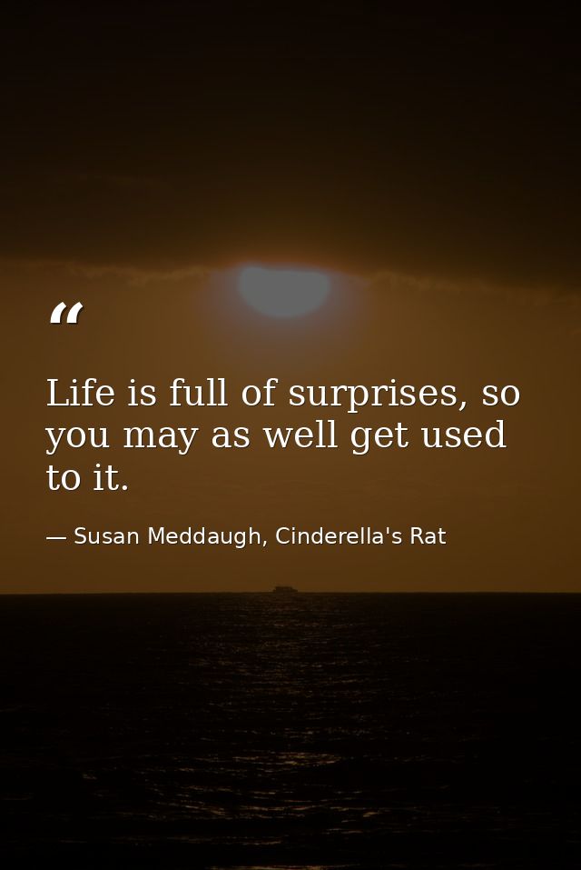 Life is full of surprises, so you may as well get used to it. — Susan Meddaugh, Cinderella's Rat