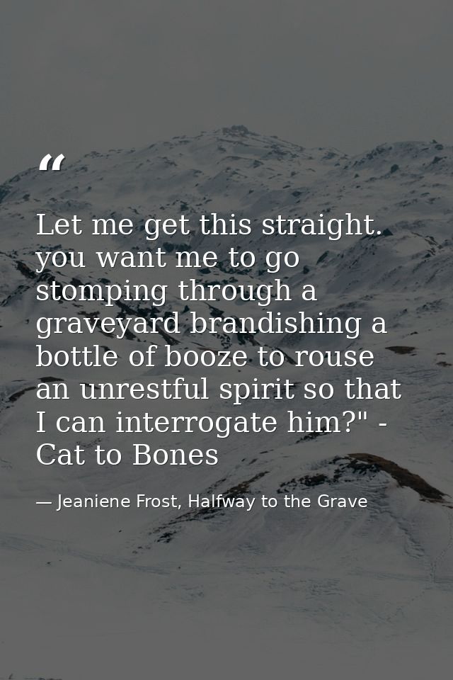 Let me get this straight. you want me to go stomping through a graveyard brandishing a bottle of booze to rouse an unres — Jeaniene Frost, Halfway to the Grave