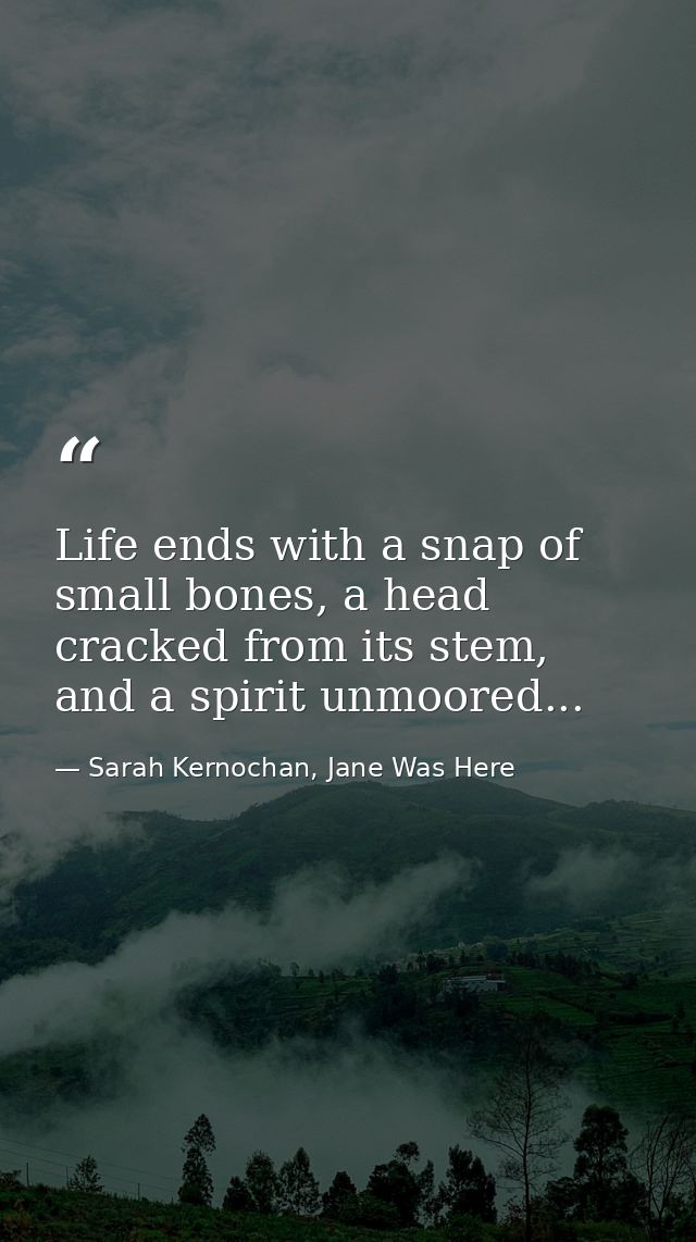 Life ends with a snap of small bones, a head cracked from its stem, and a spirit unmoored... — Sarah Kernochan, Jane Was Here