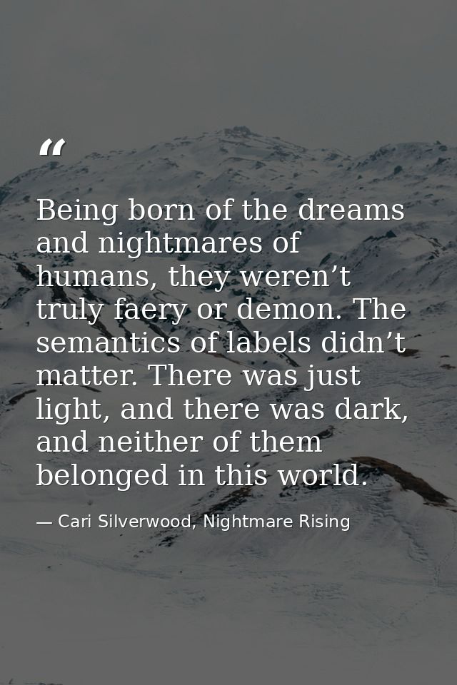 Being born of the dreams and nightmares of humans, they weren’t truly faery or demon. The semantics of labels didn’t mat — Cari Silverwood, Nightmare Rising