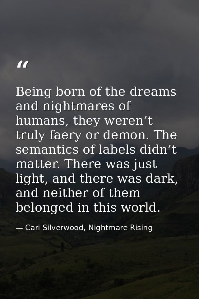 Being born of the dreams and nightmares of humans, they weren’t truly faery or demon. The semantics of labels didn’t mat — Cari Silverwood, Nightmare Rising