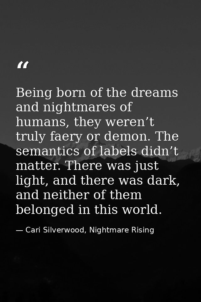 Being born of the dreams and nightmares of humans, they weren’t truly faery or demon. The semantics of labels didn’t mat — Cari Silverwood, Nightmare Rising