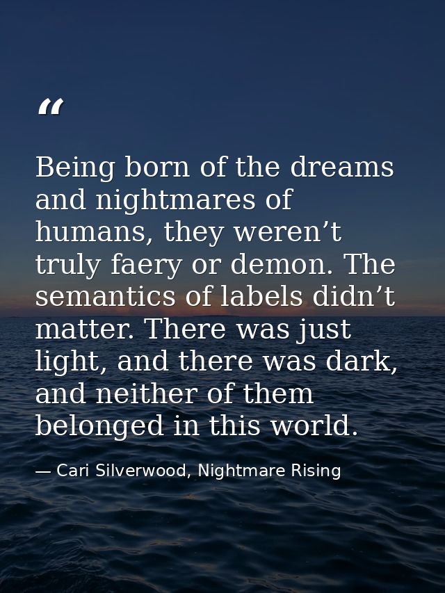 Being born of the dreams and nightmares of humans, they weren’t truly faery or demon. The semantics of labels didn’t mat — Cari Silverwood, Nightmare Rising