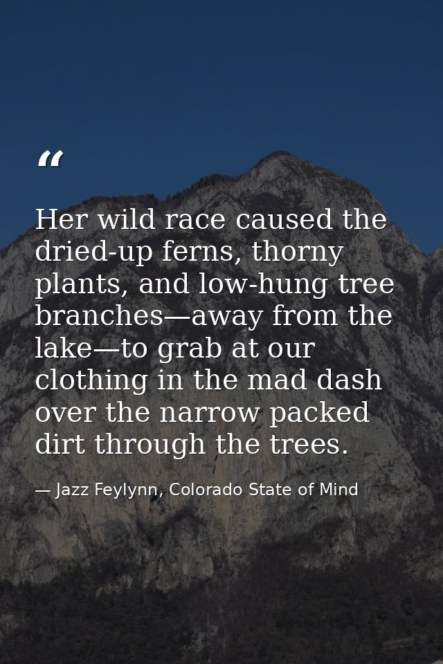 Her wild race caused the dried-up ferns, thorny plants, and low-hung tree branches—away from the lake—to grab at our clo — Jazz Feylynn, Colorado State of Mind