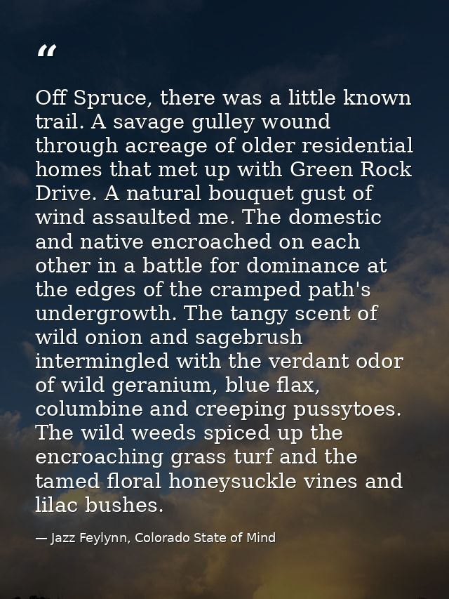 Off Spruce, there was a little known trail. A savage gulley wound through acreage of older residential homes that met up — Jazz Feylynn, Colorado State of Mind
