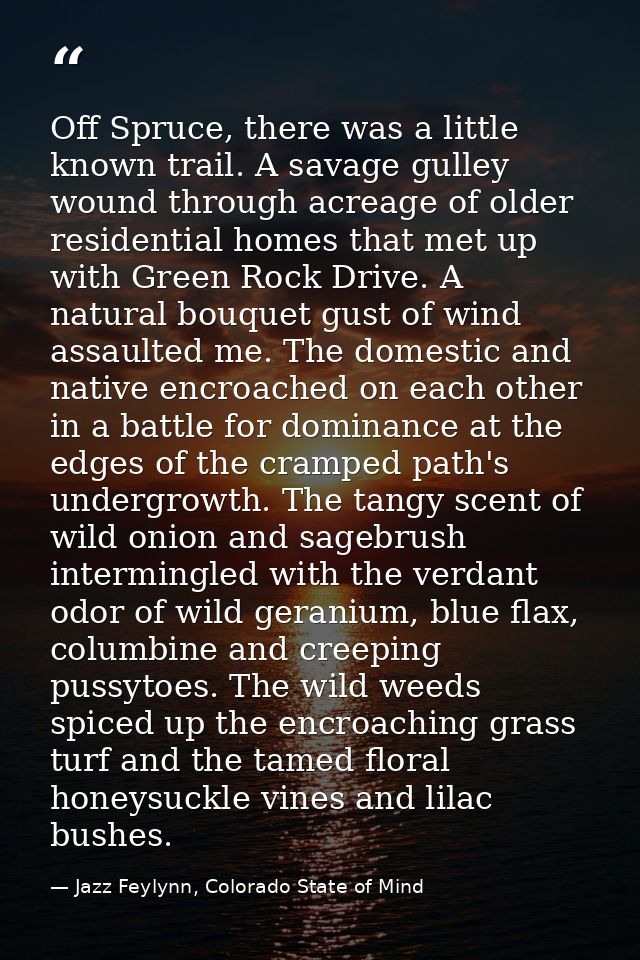 Off Spruce, there was a little known trail. A savage gulley wound through acreage of older residential homes that met up — Jazz Feylynn, Colorado State of Mind