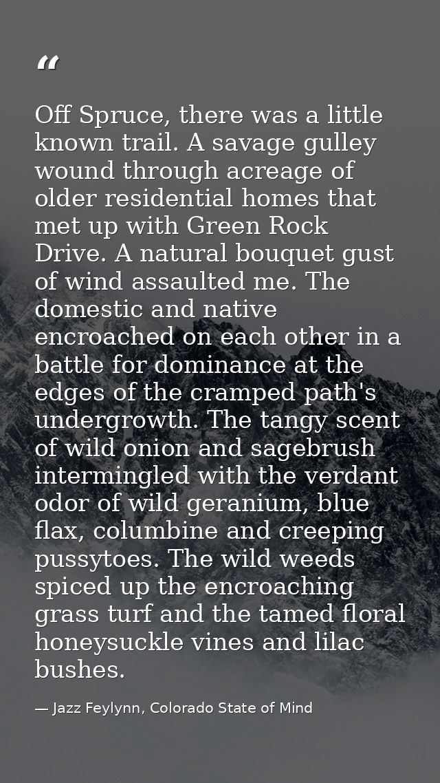 Off Spruce, there was a little known trail. A savage gulley wound through acreage of older residential homes that met up — Jazz Feylynn, Colorado State of Mind
