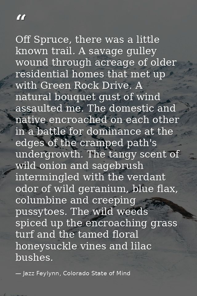 Off Spruce, there was a little known trail. A savage gulley wound through acreage of older residential homes that met up — Jazz Feylynn, Colorado State of Mind