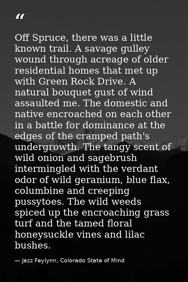 Off Spruce, there was a little known trail. A savage gulley wound through acreage of older residential homes that met up — Jazz Feylynn, Colorado State of Mind