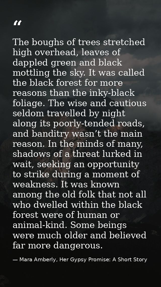 The boughs of trees stretched high overhead, leaves of dappled green and black mottling the sky. It was called the black — Mara Amberly, Her Gypsy Promise: A Short Story