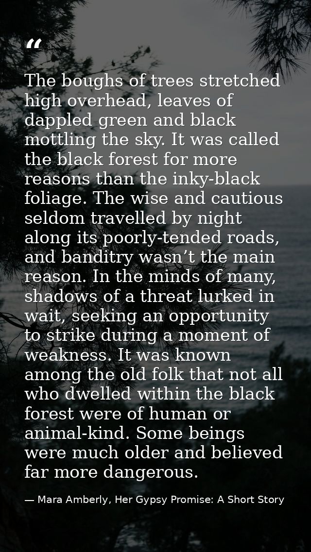 The boughs of trees stretched high overhead, leaves of dappled green and black mottling the sky. It was called the black — Mara Amberly, Her Gypsy Promise: A Short Story