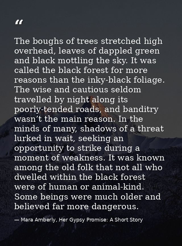 The boughs of trees stretched high overhead, leaves of dappled green and black mottling the sky. It was called the black — Mara Amberly, Her Gypsy Promise: A Short Story