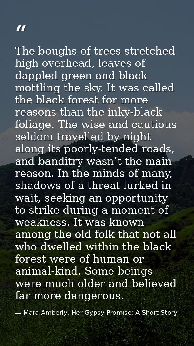 The boughs of trees stretched high overhead, leaves of dappled green and black mottling the sky. It was called the black — Mara Amberly, Her Gypsy Promise: A Short Story