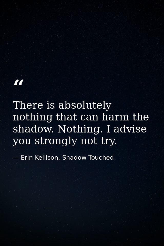 There is absolutely nothing that can harm the shadow. Nothing. I advise you strongly not try. — Erin Kellison, Shadow Touched