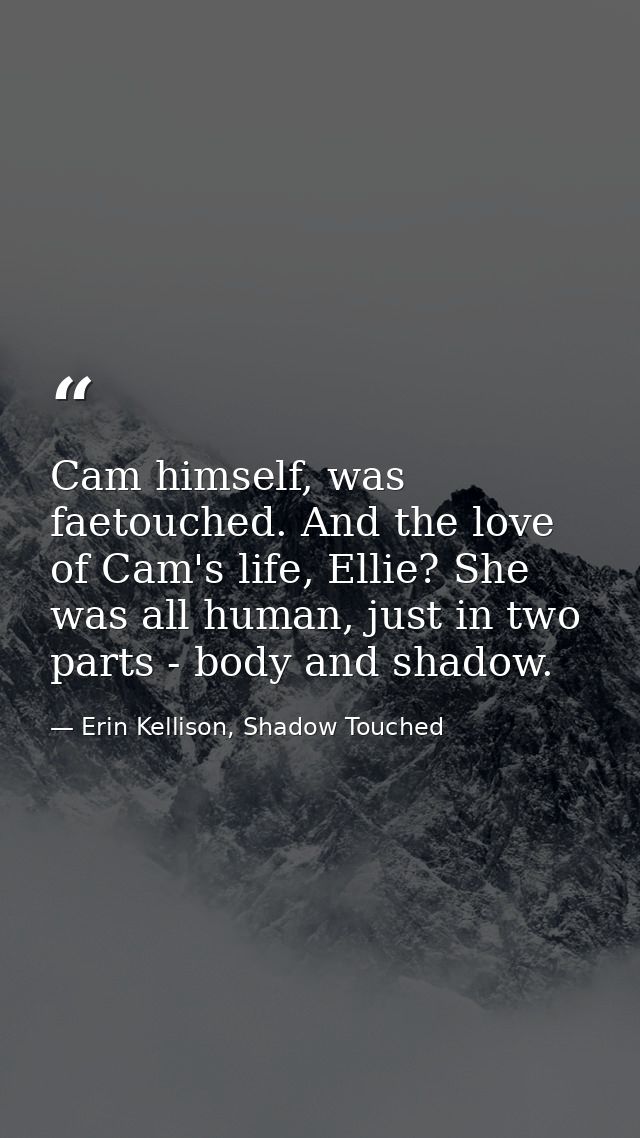 Cam himself, was faetouched. And the love of Cam's life, Ellie? She was all human, just in two parts - body and shadow. — Erin Kellison, Shadow Touched