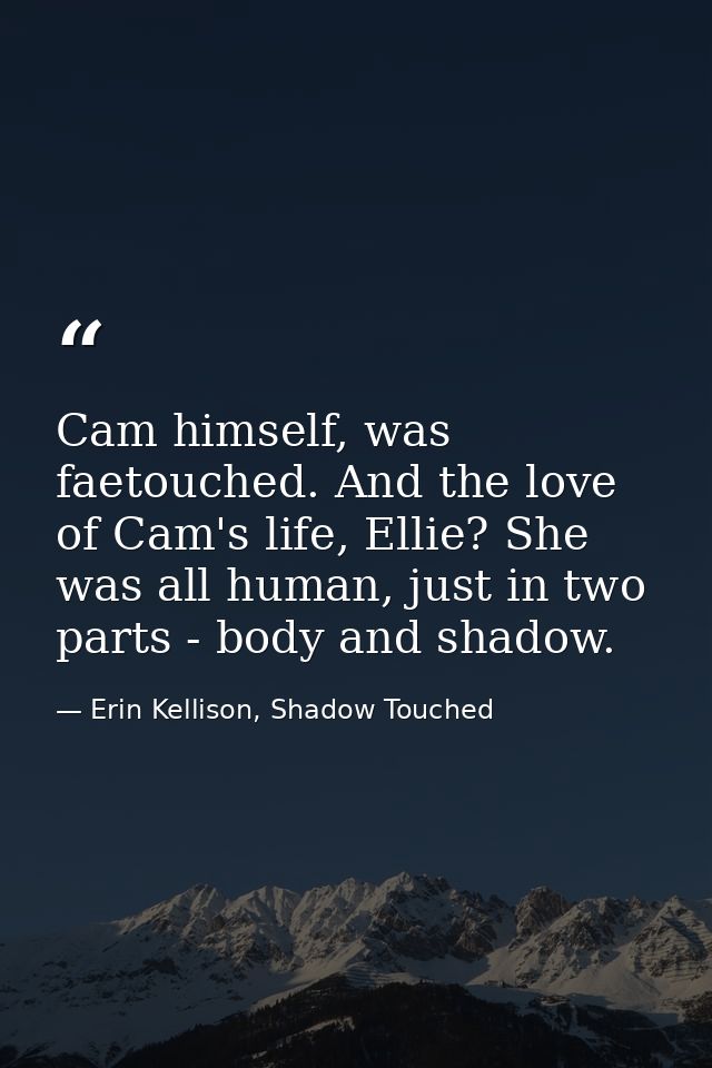 Cam himself, was faetouched. And the love of Cam's life, Ellie? She was all human, just in two parts - body and shadow. — Erin Kellison, Shadow Touched