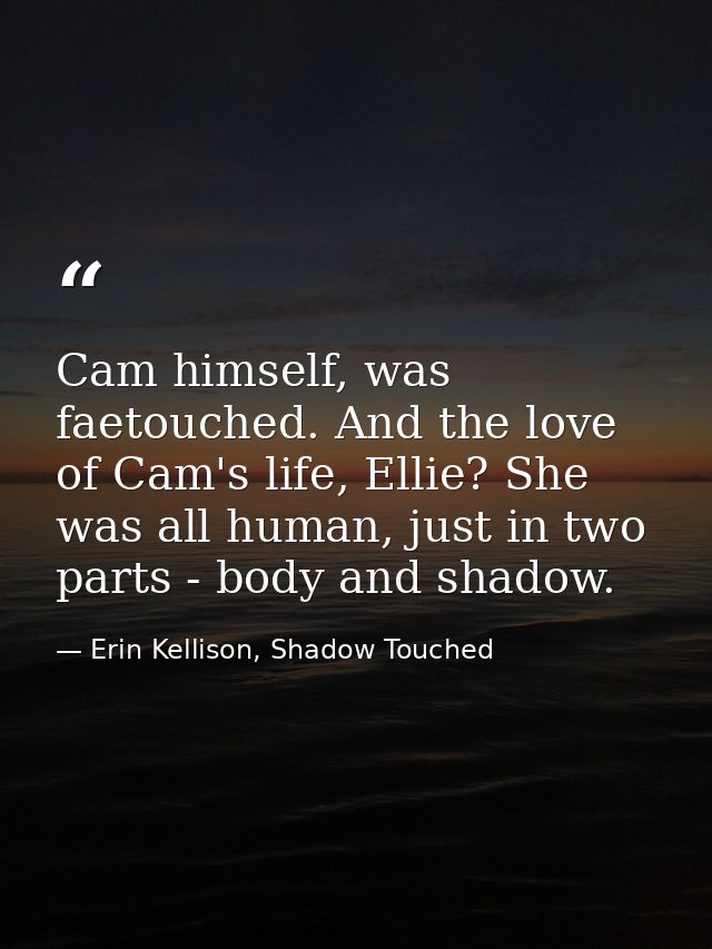 Cam himself, was faetouched. And the love of Cam's life, Ellie? She was all human, just in two parts - body and shadow. — Erin Kellison, Shadow Touched