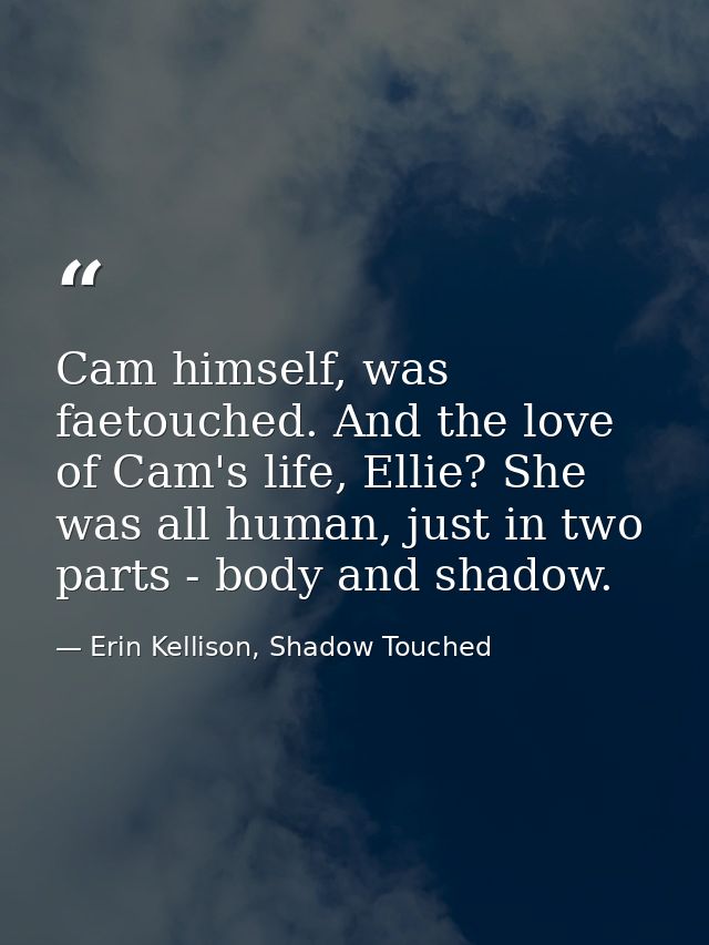 Cam himself, was faetouched. And the love of Cam's life, Ellie? She was all human, just in two parts - body and shadow. — Erin Kellison, Shadow Touched