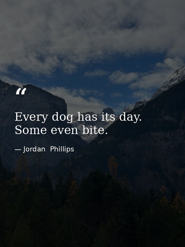 Every dog has its day. Some even bite. — Jordan  Phillips