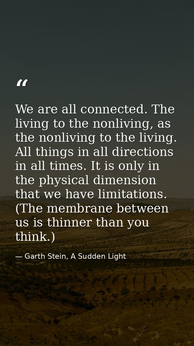 We are all connected. The living to the nonliving, as the nonliving to the living. All things in all directions in all t — Garth Stein, A Sudden Light