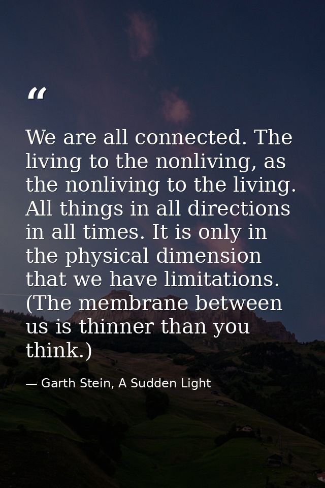 We are all connected. The living to the nonliving, as the nonliving to the living. All things in all directions in all t — Garth Stein, A Sudden Light