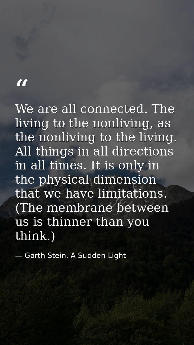 We are all connected. The living to the nonliving, as the nonliving to the living. All things in all directions in all t — Garth Stein, A Sudden Light