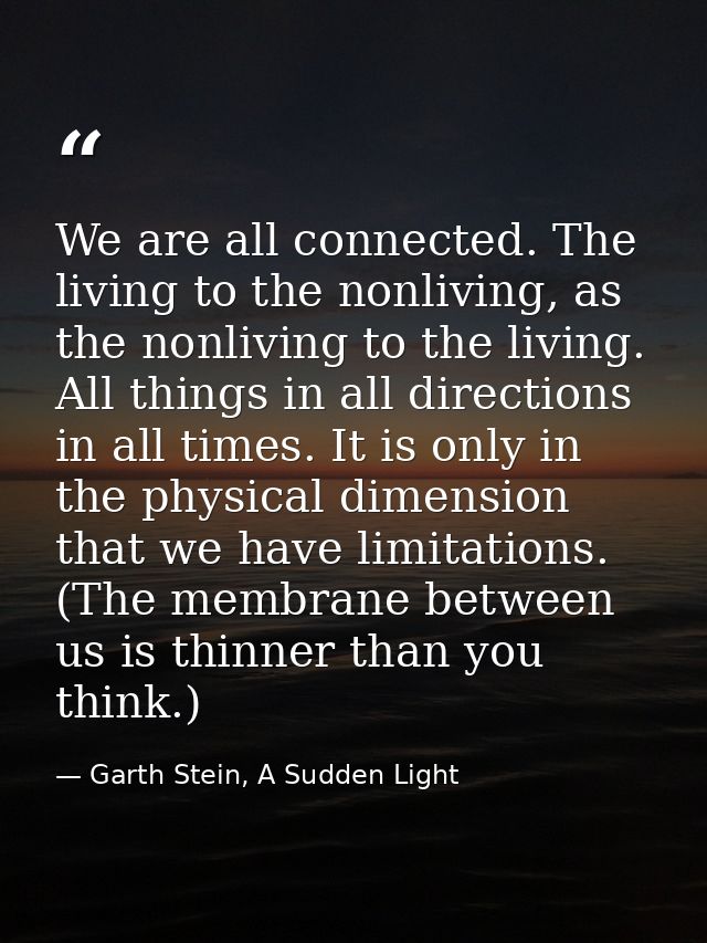 We are all connected. The living to the nonliving, as the nonliving to the living. All things in all directions in all t — Garth Stein, A Sudden Light