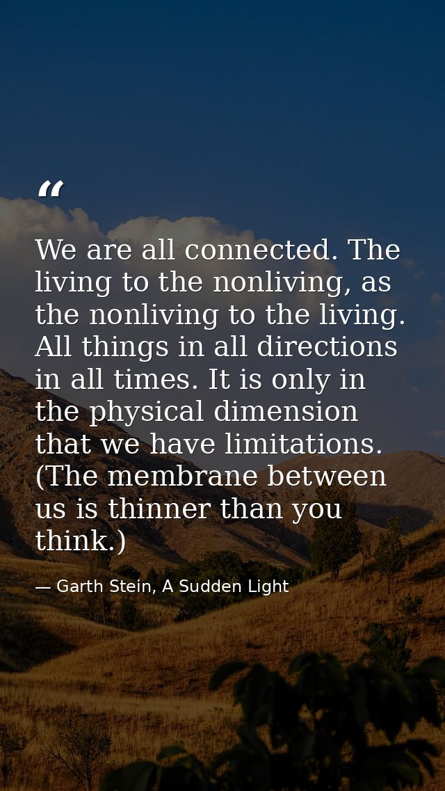 We are all connected. The living to the nonliving, as the nonliving to the living. All things in all directions in all t — Garth Stein, A Sudden Light