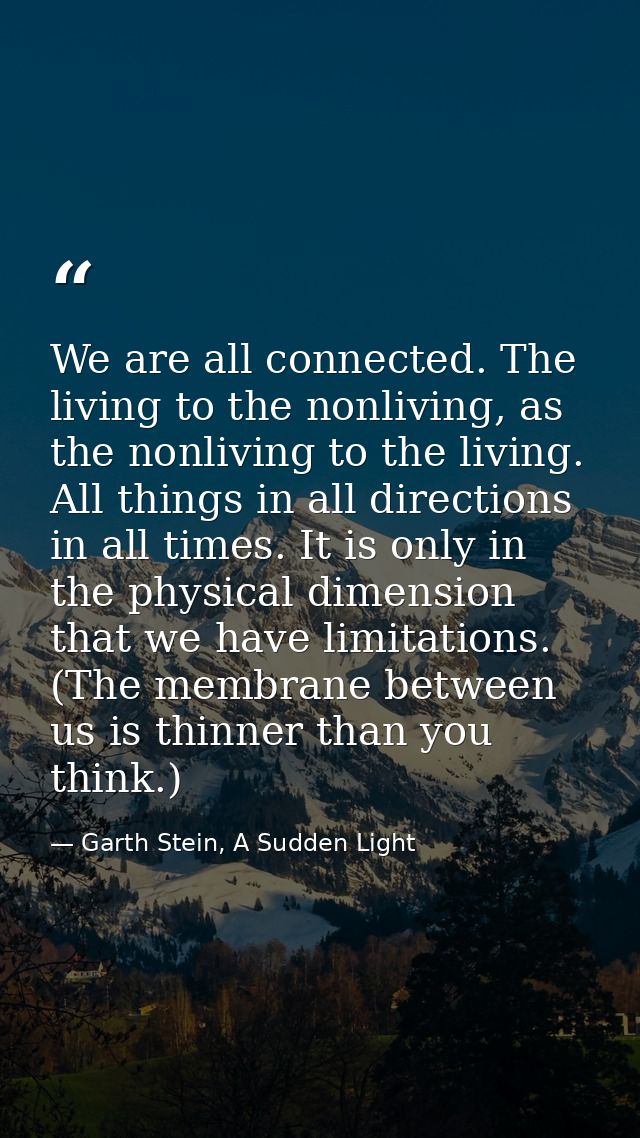 We are all connected. The living to the nonliving, as the nonliving to the living. All things in all directions in all t — Garth Stein, A Sudden Light