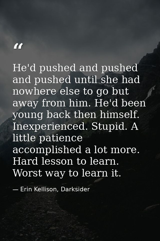 He'd pushed and pushed and pushed until she had nowhere else to go but away from him. He'd been young back then himself. — Erin Kellison, Darksider