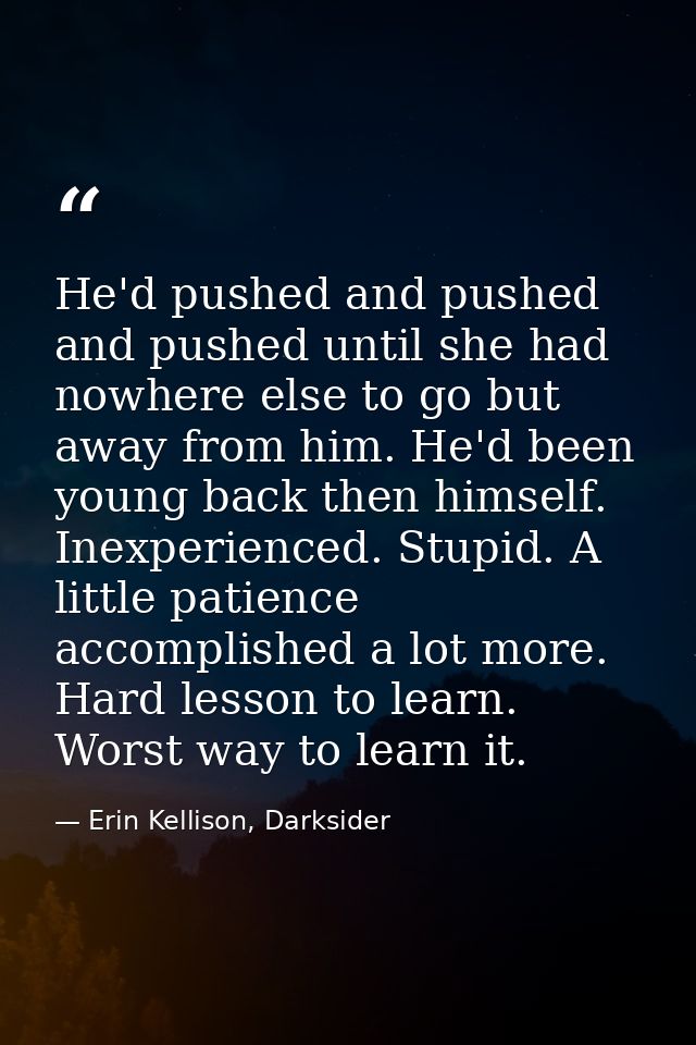 He'd pushed and pushed and pushed until she had nowhere else to go but away from him. He'd been young back then himself. — Erin Kellison, Darksider