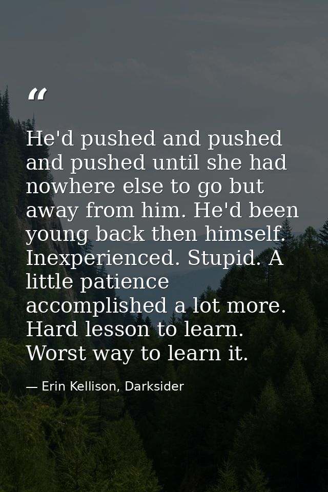 He'd pushed and pushed and pushed until she had nowhere else to go but away from him. He'd been young back then himself. — Erin Kellison, Darksider