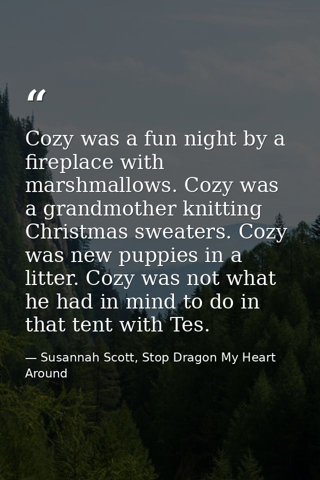 Cozy was a fun night by a fireplace with marshmallows. Cozy was a grandmother knitting Christmas sweaters. Cozy was new  — Susannah Scott, Stop Dragon My Heart Around