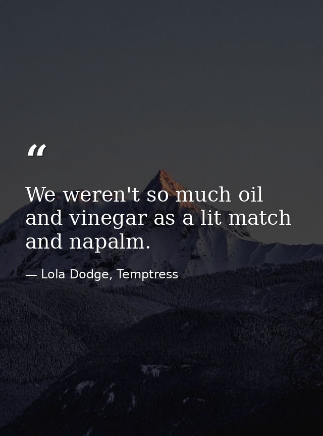 We weren't so much oil and vinegar as a lit match and napalm. — Lola Dodge, Temptress