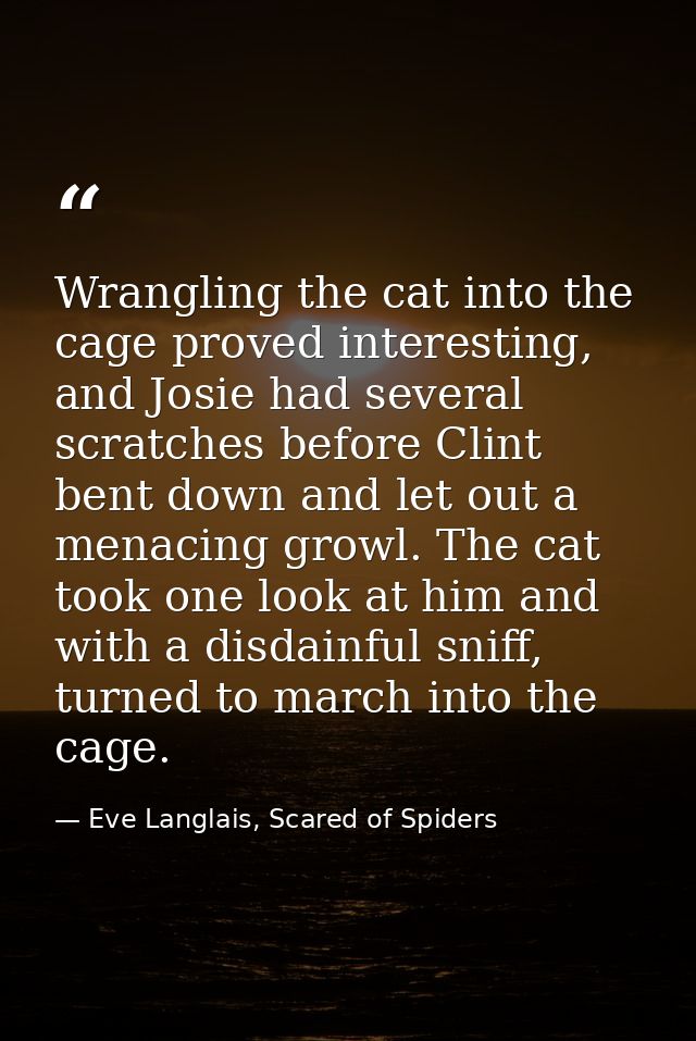Wrangling the cat into the cage proved interesting, and Josie had several scratches before Clint bent down and let out a — Eve Langlais, Scared of Spiders