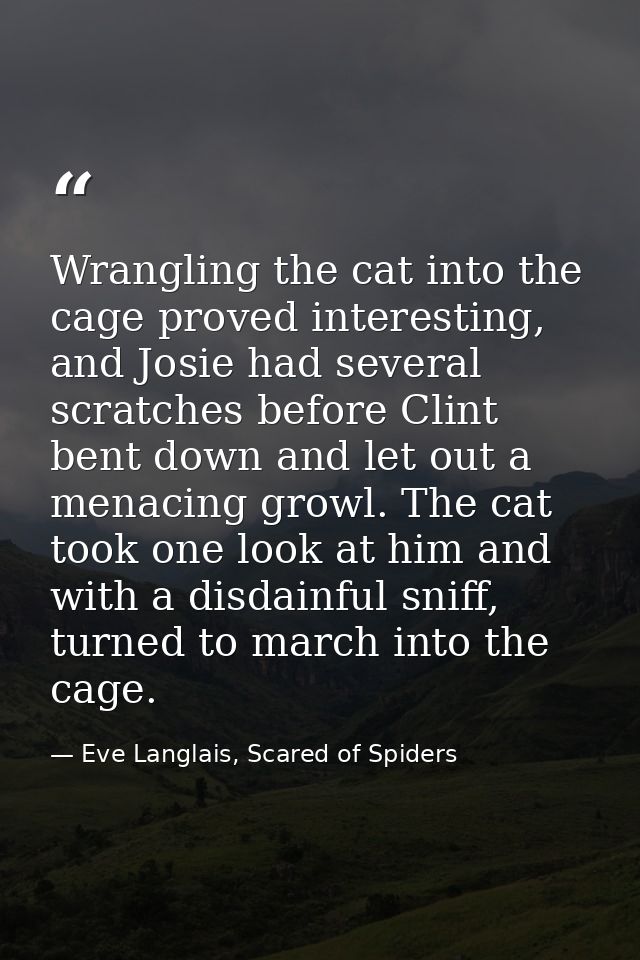 Wrangling the cat into the cage proved interesting, and Josie had several scratches before Clint bent down and let out a — Eve Langlais, Scared of Spiders