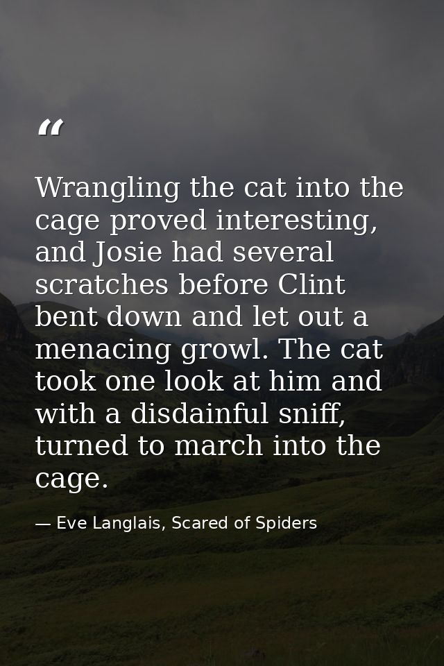Wrangling the cat into the cage proved interesting, and Josie had several scratches before Clint bent down and let out a — Eve Langlais, Scared of Spiders