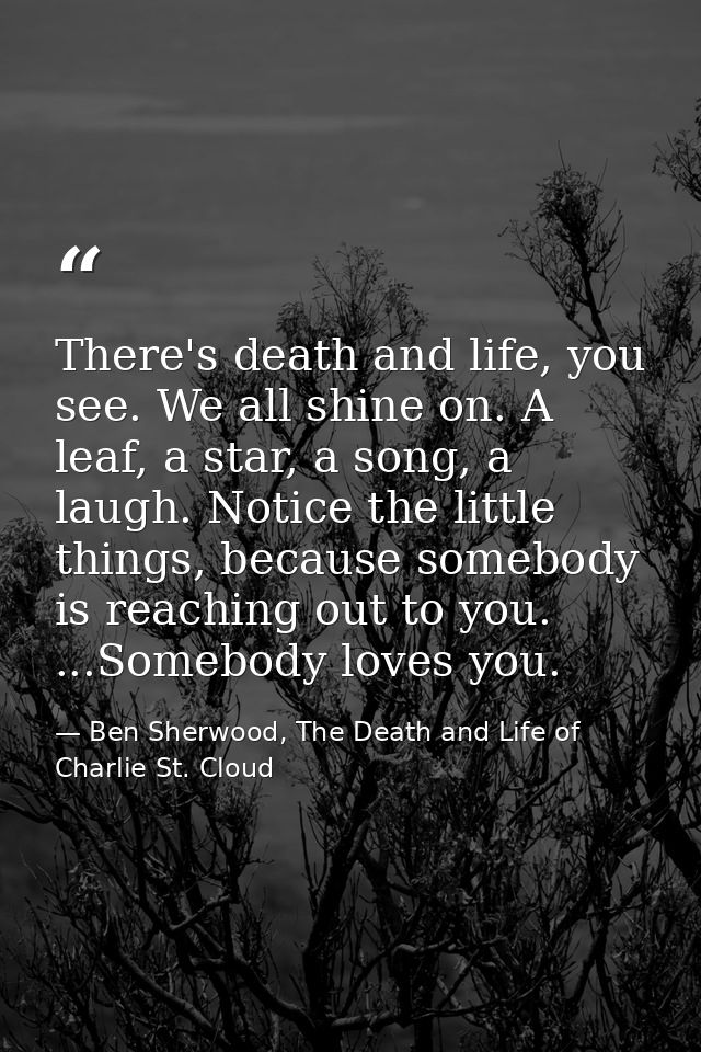 There's death and life, you see. We all shine on. A leaf, a star, a song, a laugh. Notice the little things, because som — Ben Sherwood, The Death and Life of Charlie St. Cloud