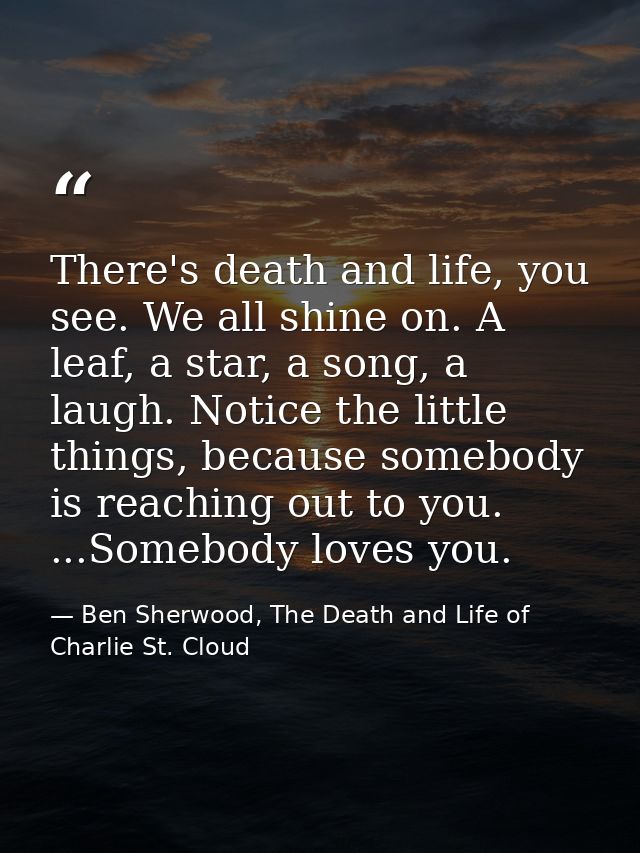There's death and life, you see. We all shine on. A leaf, a star, a song, a laugh. Notice the little things, because som — Ben Sherwood, The Death and Life of Charlie St. Cloud
