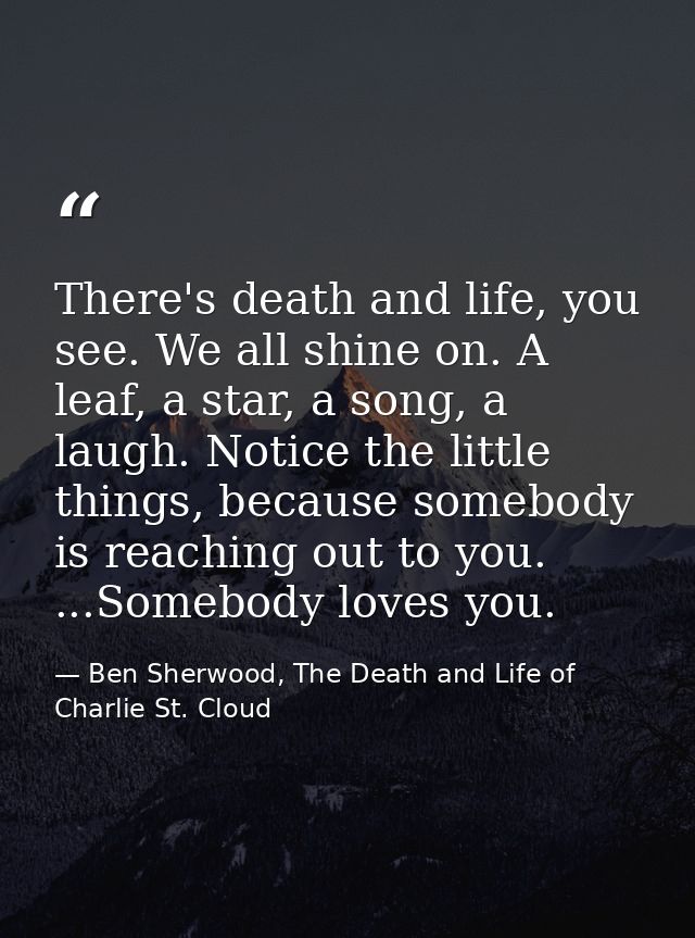 There's death and life, you see. We all shine on. A leaf, a star, a song, a laugh. Notice the little things, because som — Ben Sherwood, The Death and Life of Charlie St. Cloud
