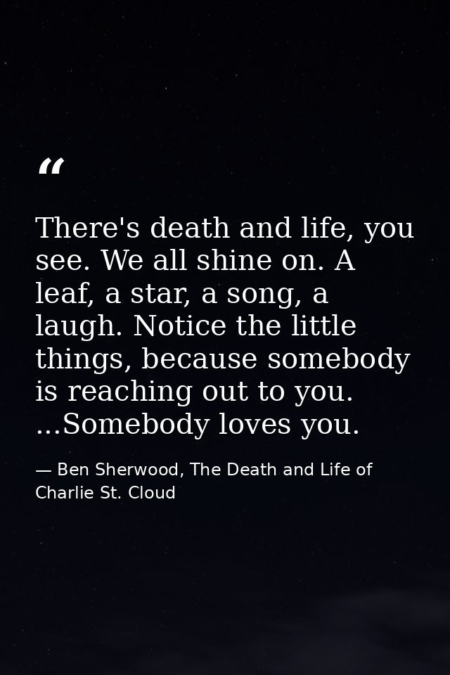 There's death and life, you see. We all shine on. A leaf, a star, a song, a laugh. Notice the little things, because som — Ben Sherwood, The Death and Life of Charlie St. Cloud
