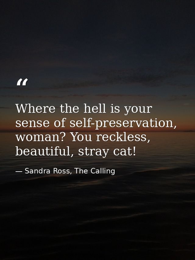 Where the hell is your sense of self-preservation, woman? You reckless, beautiful, stray cat! — Sandra Ross, The Calling