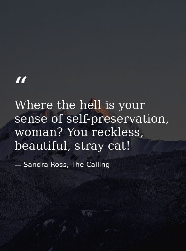 Where the hell is your sense of self-preservation, woman? You reckless, beautiful, stray cat! — Sandra Ross, The Calling