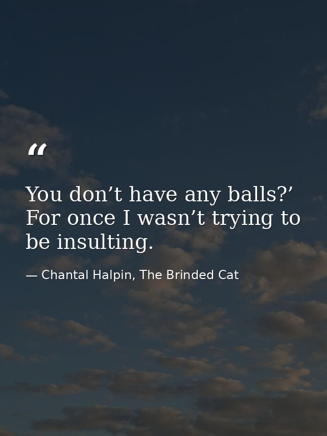 You don’t have any balls?’ For once I wasn’t trying to be insulting. — Chantal Halpin, The Brinded Cat