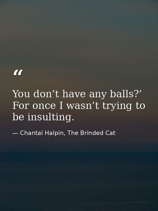 You don’t have any balls?’ For once I wasn’t trying to be insulting. — Chantal Halpin, The Brinded Cat