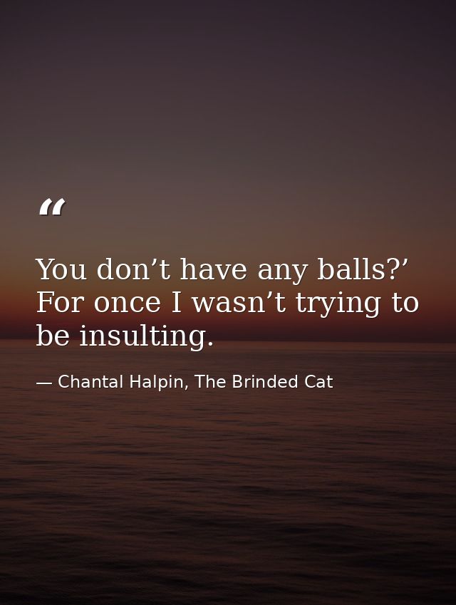 You don’t have any balls?’ For once I wasn’t trying to be insulting. — Chantal Halpin, The Brinded Cat
