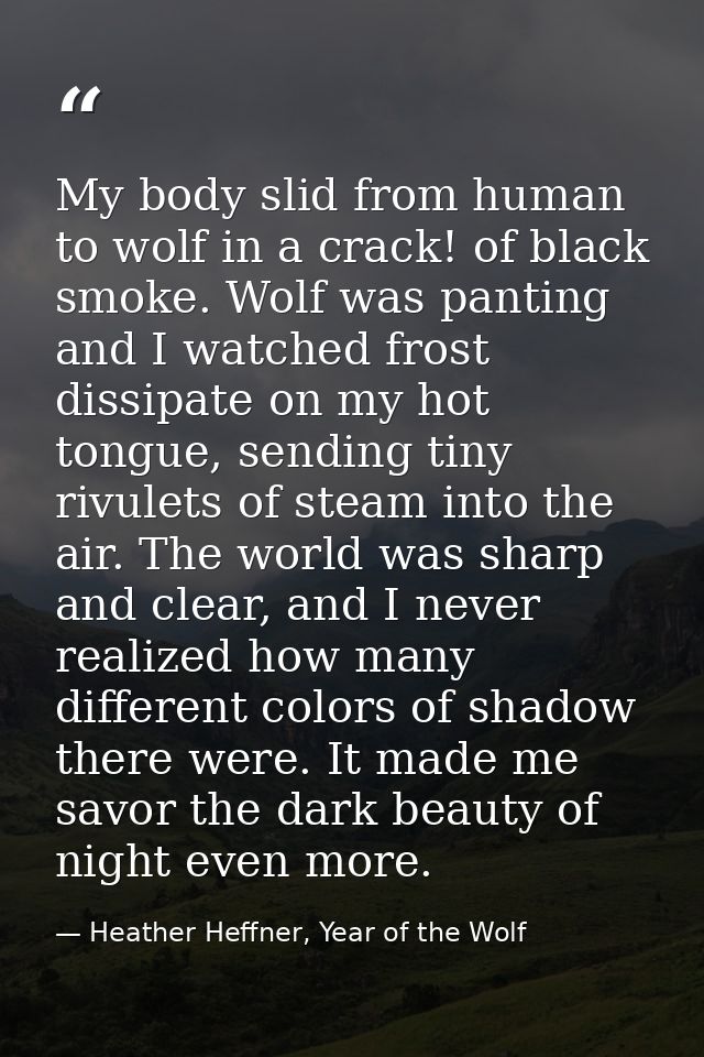 My body slid from human to wolf in a crack! of black smoke. Wolf was panting and I watched frost dissipate on my hot ton — Heather Heffner, Year of the Wolf