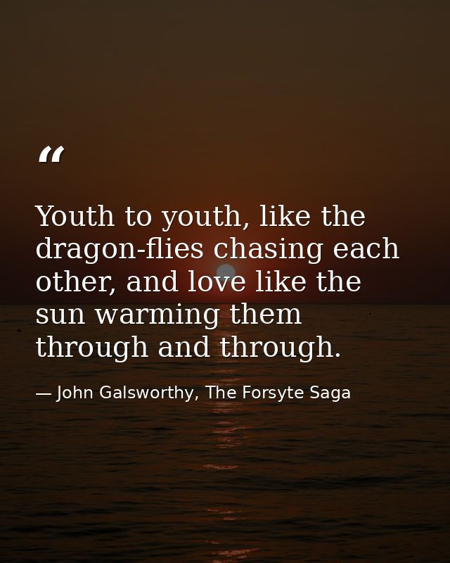 Youth to youth, like the dragon-flies chasing each other, and love like the sun warming them through and through. — John Galsworthy, The Forsyte Saga